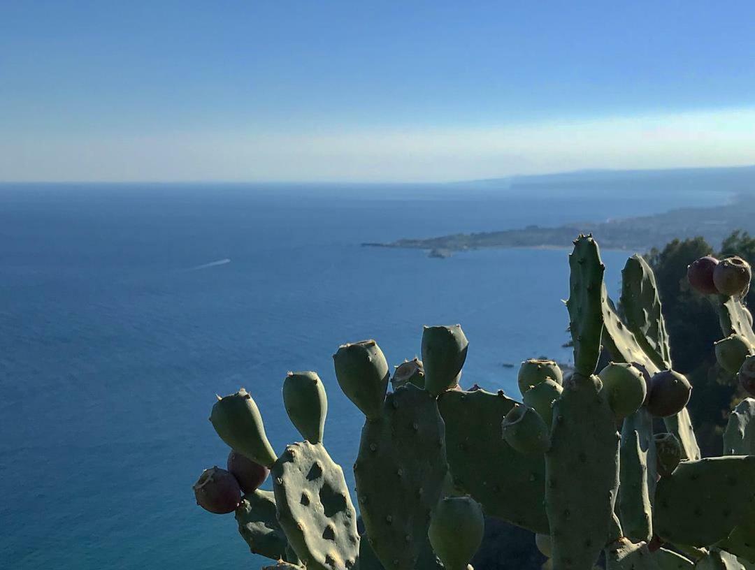 Apartament La Baia Dei Delfini Taormina Zewnętrze zdjęcie